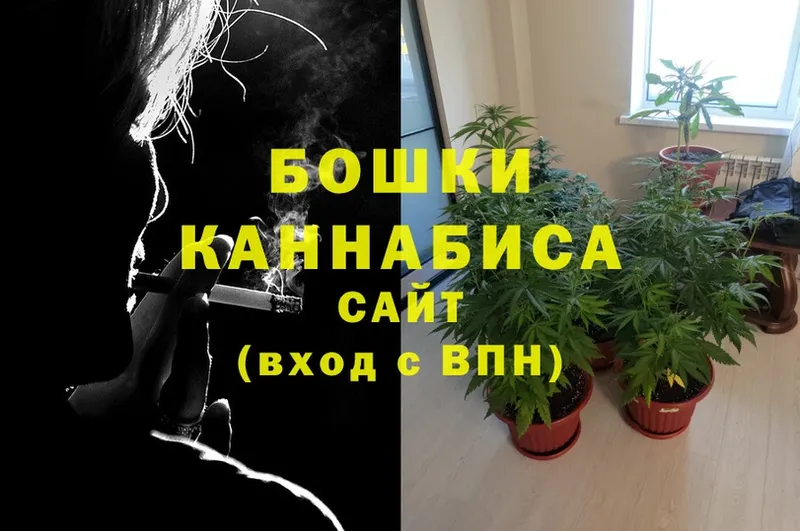 где можно купить   Горняк  МАРИХУАНА OG Kush 